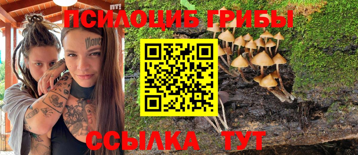 Псилоцибиновые грибы Magic Shrooms  Вход с VPN  Дальнереченск 