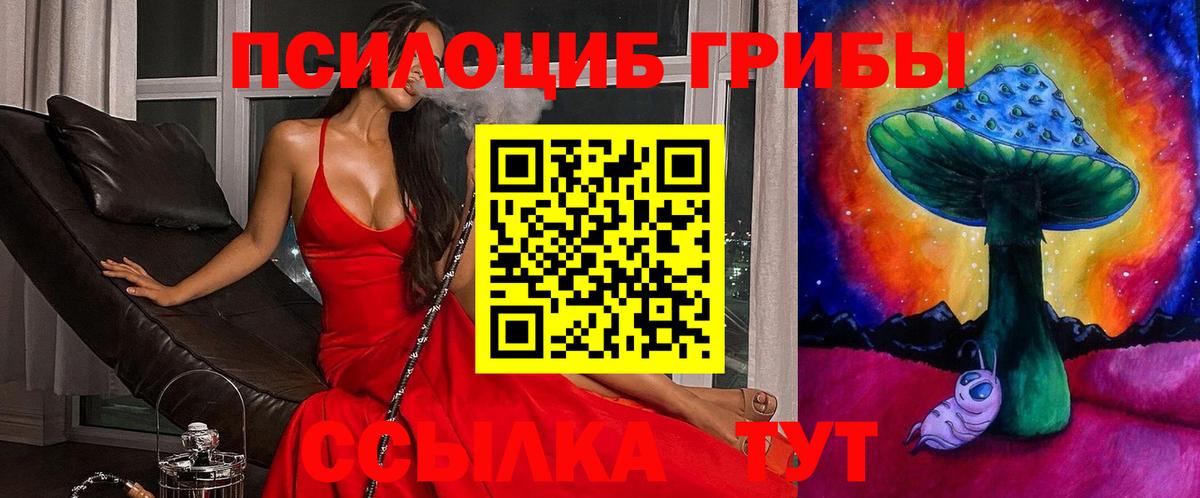 Псилоцибиновые грибы прущие грибы Дальнереченск